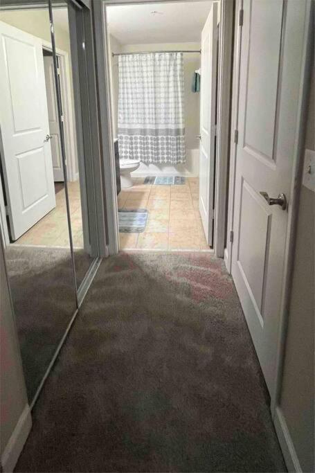 Ferienwohnung Blooming Journey In Tampa Bay! Exterior foto